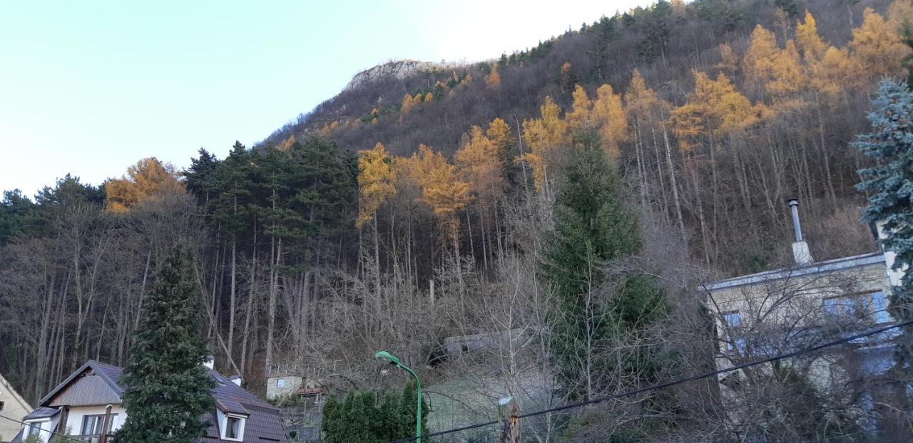 Brasov Valley Appartement Buitenkant foto