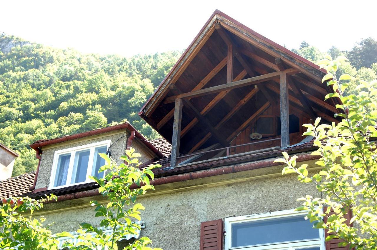 Brasov Valley Appartement Buitenkant foto
